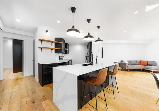 Condo for sale - 1055 Rue St-André, Montreal (Downtown), H2L 4Z6