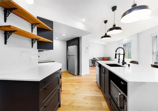 Condo for sale - 1055 Rue St-André, Montreal (Downtown), H2L 4Z6