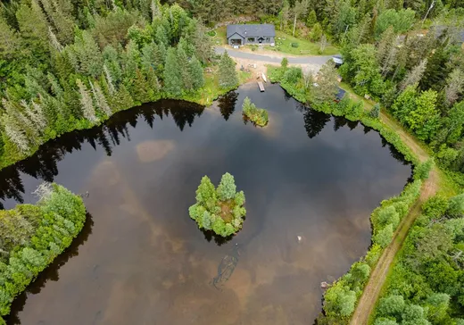Bungalow à vendre - 2658 9e Rang, Sainte-Agathe-des-Monts, J8C0P9