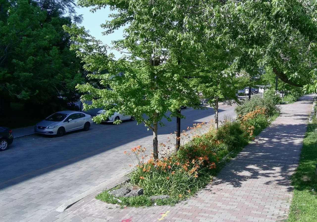 5025 Rue Paré — photo 3