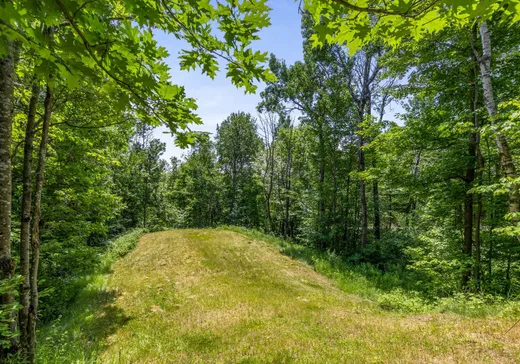 Maison à vendre - 7455 Ch. Beaulieu, Saint-Damien, J0K 2E0