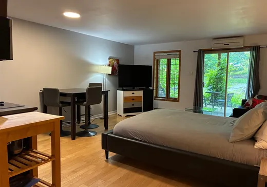Loft for sale - 2240-8 Ch. du Parc, Magog, J1X 7A2