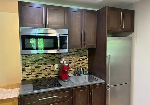 Loft for sale - 2240-8 Ch. du Parc, Magog, J1X 7A2