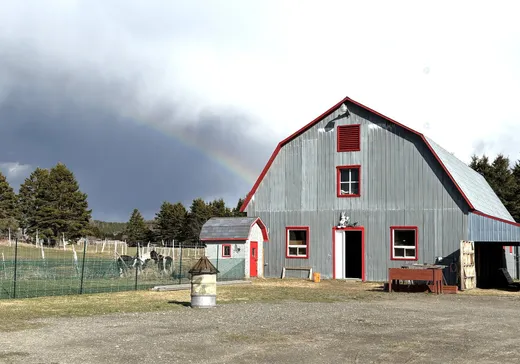 Maison à vendre - 201 Route 132 E., Sainte-Félicité, G0J 2K0