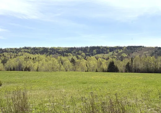 Maison à vendre - 201 Route 132 E., Sainte-Félicité, G0J 2K0