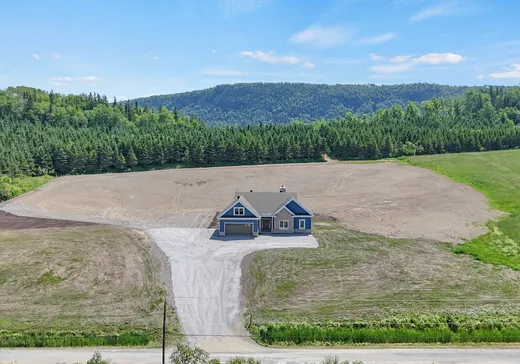 Maison à vendre - 303 Route de la Montagne, Pont-Rouge, G5N 5L2