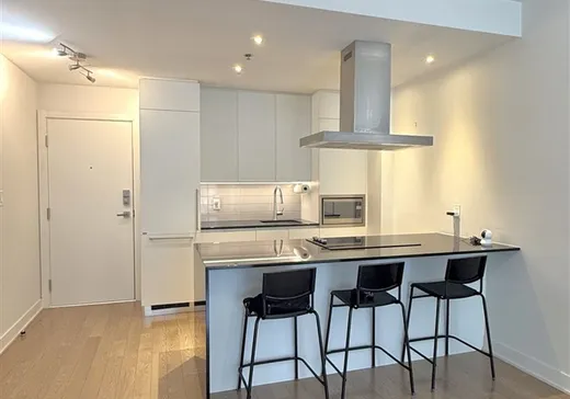 Condo à vendre - 1211 Rue Drummond, App. 203, Montréal (Centreville), H3G0E6