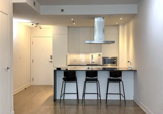 Condo à vendre - 1211 Rue Drummond, App. 203, Montréal (Centreville), H3G 0E6
