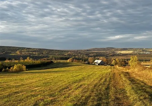 Fermette à vendre - 9451 Route 161, Chesterville, G0P 1J0