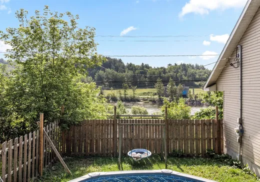 Maison à vendre - 127 Rue Greenlay S., Windsor, J1S 2J9