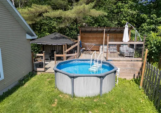 Maison à vendre - 127 Rue Greenlay S., Windsor, J1S 2J9