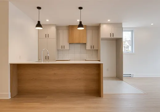 Two or more stories for sale - 10833 Av. Lausanne, Montreal (North), H1H5B6