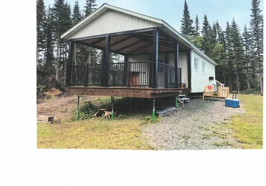 House for sale - 10 Chemin de la Grande-Branche Nord, Les Mechins, G0J 1T0
