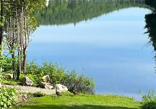 Maison à vendre - 31 Ch. du Lac-des-Cornes, Chute-St-Philippe, J0W 1A0