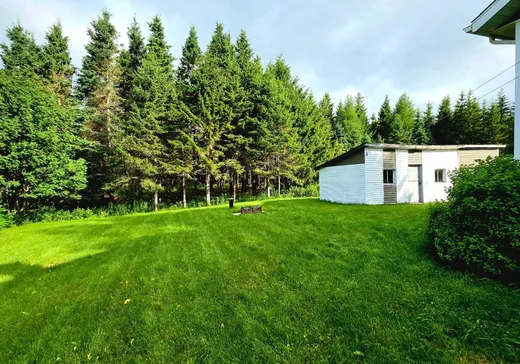 Maison à vendre - 198 8e Rang, Lac-Etchemin, G0R 1S0