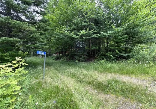 House for sale - 108 Ch. du Nord, Notre-Dame-Des-Boies, J0B 2E0