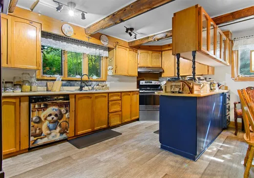 Maison à vendre - 57 Rue de l'Église, Rapides-des-Joachims, J0X 3M0