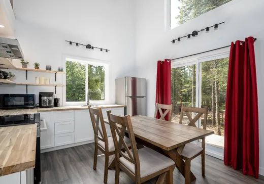 Maison à vendre - 78 Rue des Bouleaux, Sainte-Christine-d'Auvergne, G0A 1A0