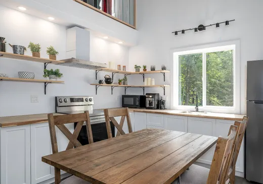 Maison à vendre - 78 Rue des Bouleaux, Sainte-Christine-d'Auvergne, G0A 1A0