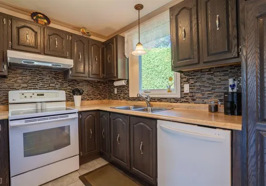House for sale - 4 Rue Falaise, Victoriaville, G6P 6C6