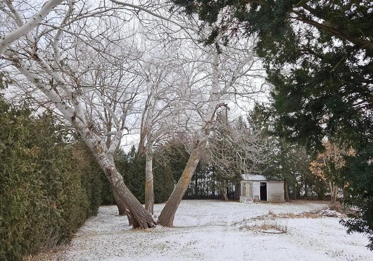 340 Rue St-Pierre — photo 3