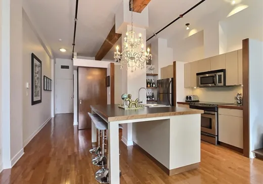 Condo à vendre - 1015 Rue William, App. 109, Montréal (Centreville), H3C1P4