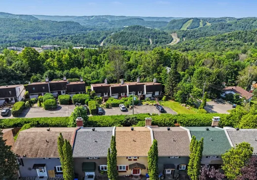 Maison à vendre - 767 Rue Richer, Sainte-Adèle, J8B 2S4