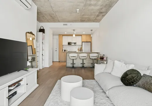 Condo for sale - 3155 Av. Parkville, Montreal (Mercier/Hochelaga-Maisonneuve), H1N 0E7