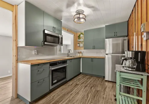 Maison à vendre - 423 Ch. Pontbriand, Lac des Loups, J0X 3K0