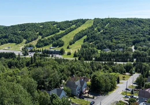 Maison à vendre - 368Z Ch. des Épinettes, Saint-Sauveur, J0R 1K0