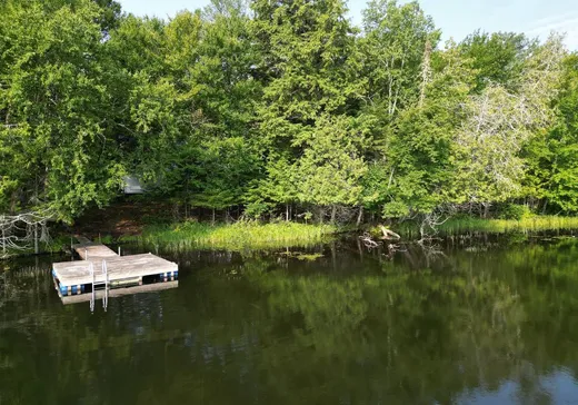 Maison à vendre - 18 Ch. Talbot, La Minerve, J0T 1S0