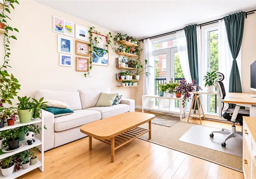 Condo à vendre - 7945 Rue St-Hubert, App. 102, Montréal (Villeray), H2R2P4