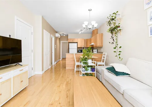 Condo à vendre - 7945 Rue St-Hubert, App. 102, Montréal (Villeray), H2R 2P4