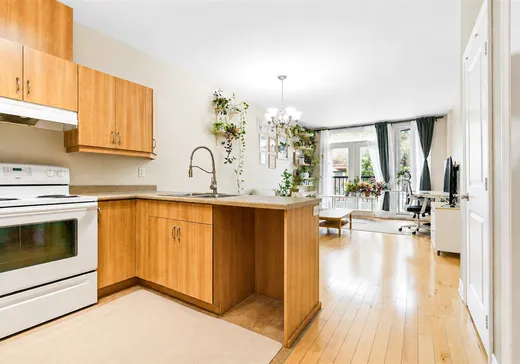 Condo à vendre - 7945 Rue St-Hubert, App. 102, Montréal (Villeray), H2R 2P4