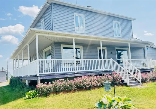 House for sale - 356 Rg du Bord-de-l'Eau E., Massueville, J0G 1K0