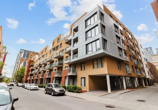 Condo for sale - 1248 Av. de l'Hôtel-de-Ville, App. 503, Montreal (Ville-Marie), H2X0B2
