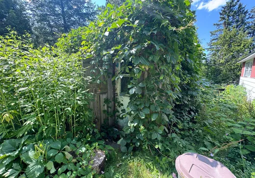 Maison à vendre - 1053 Côte St-Gabriel O., Saint-Sauveur, J0R 1R1