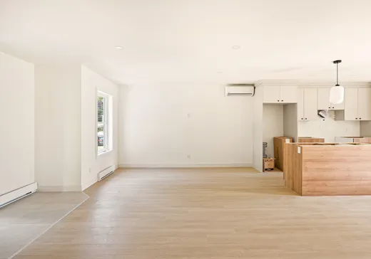 Maison à vendre - 721 Rue de la Colline, Grandes-Piles, G0X 1H0