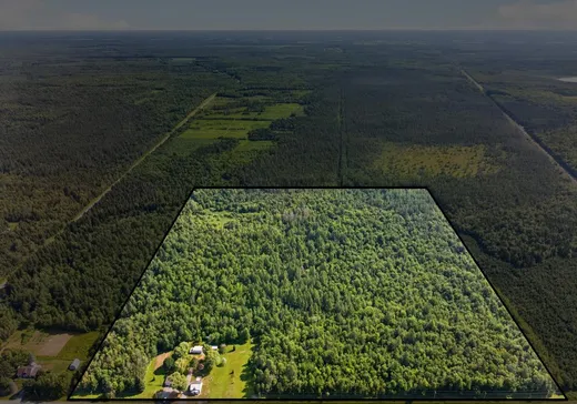 Un étage et demi à vendre - 501 Rg du Domaine, Lemieux, G0X1S0
