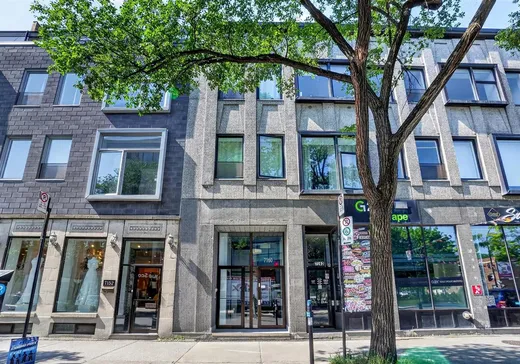 Condo à vendre - 7160 Boul. St-Laurent, App. 203, Montréal (Rosemont–La Petite-Patrie), H2S3E2