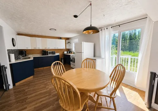 Maison à vendre - 4727 Av. Larivière, Rouyn-Noranda, J9Y 0G7
