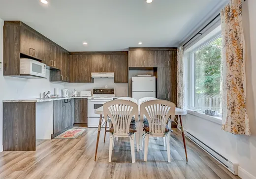 Maison à vendre - 16 Ch. du Lac-Adair, Montréal (Ville-Marie), H2J 2Y3