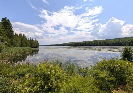 Maison à vendre - 7014 Rue Lachance, Lac-Mégantic, G0Y 1G0