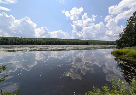 Maison à vendre - 7014 Rue Lachance, Lac-Mégantic, G0Y 1G0