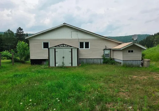 House for sale - 1154 Rg du Sud-Est, La Tuque, G9X 0A7