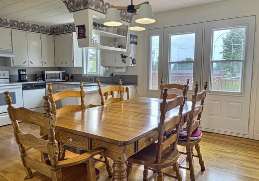 Maison à vendre - 1220 Av. Painchaud, Plessisville, G6L 1X8