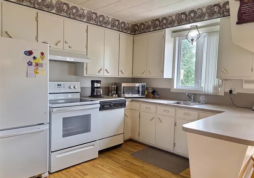 Maison à vendre - 1220 Av. Painchaud, Plessisville, G6L 1X8