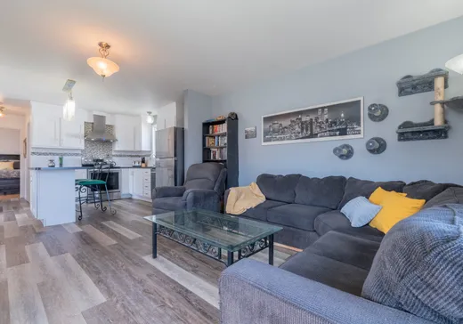 Maison à vendre - 3400 Rue des Épinettes, Sainte-Madeleine, J0H 1S0