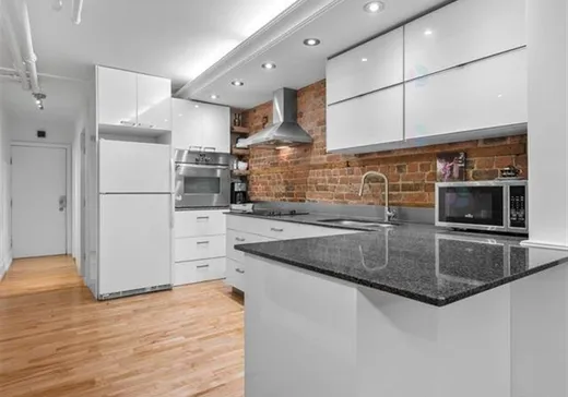 Condo for sale - 3436 Rue St-Hubert, App. 2, Montreal (Plateau-Mont-Royal), H2L 3Z7