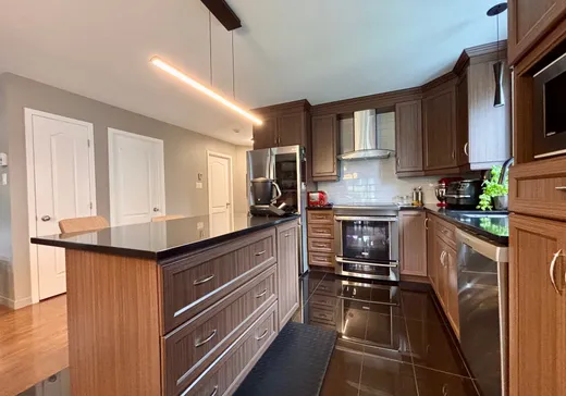 Maison à vendre - 61 Rue des Sittelles, Victoriaville, G6T 2L4